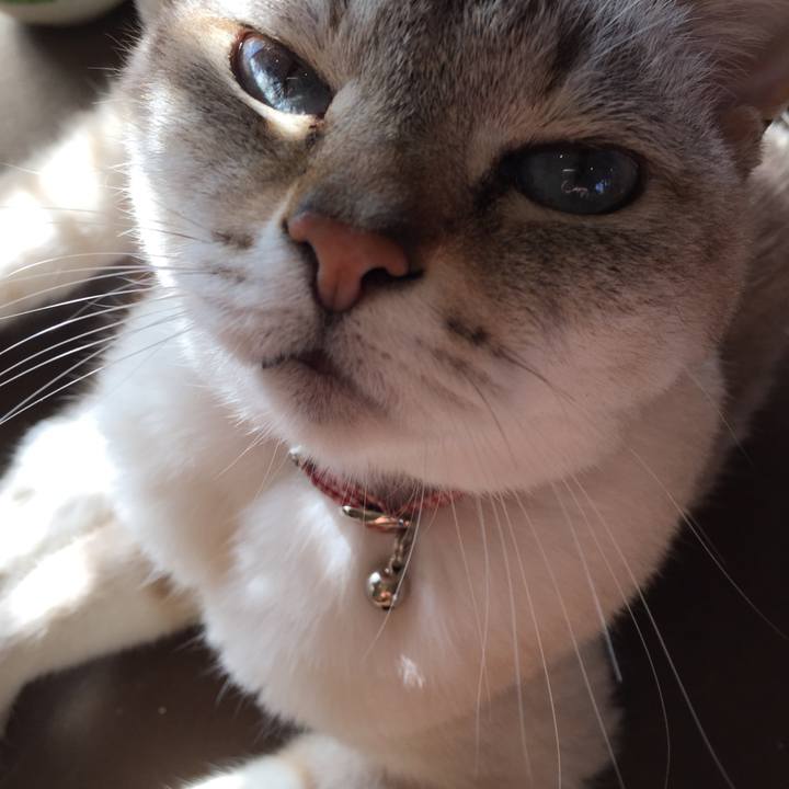 7f41db69 a990 4b0f ae51 2fa1d724dd9d