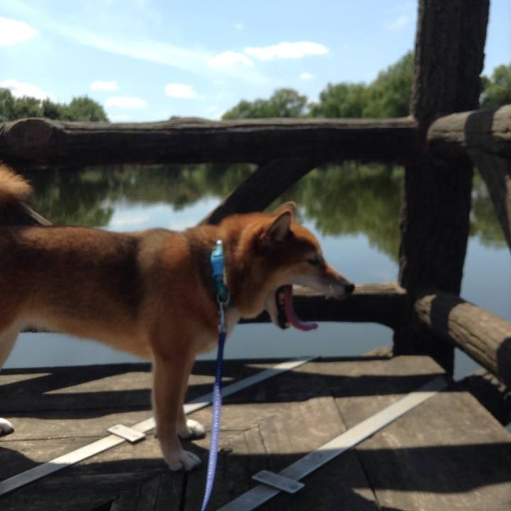 7f42e25c 78e4 478f 821b 92540864cf9d