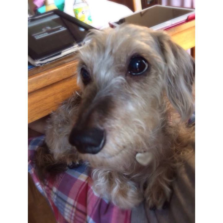 7f44d6da b8c5 4e9d 9292 78dc23b6e583