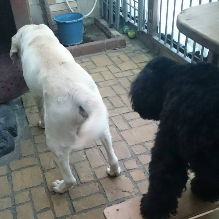 7f451dba 05aa 4cd0 9d20 d5e515fdbb45