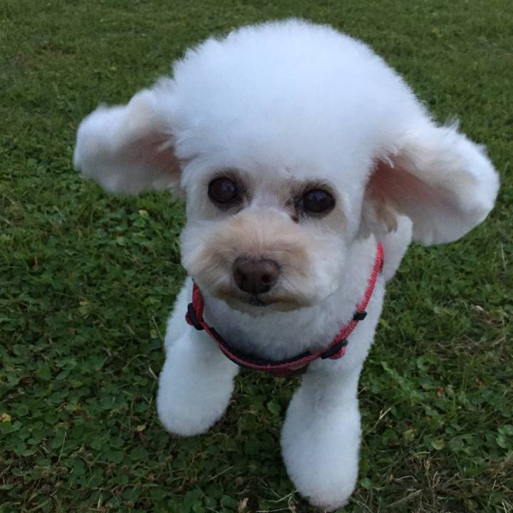 7f45679a 56ed 4c7f b985 f599b53b0eae