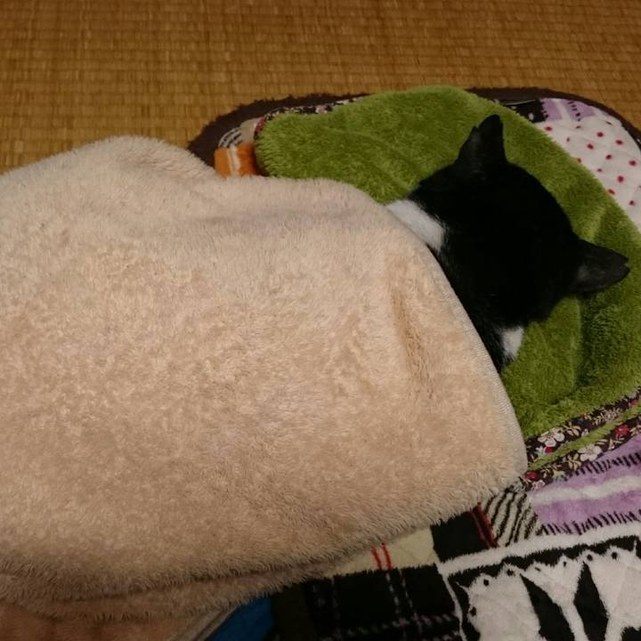 7f45bb6c 53c2 47b9 be20 180886cb6e5c