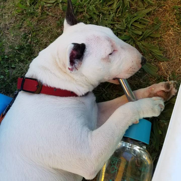 7f46458e f0ee 4726 8bfb ce72cebf25e2