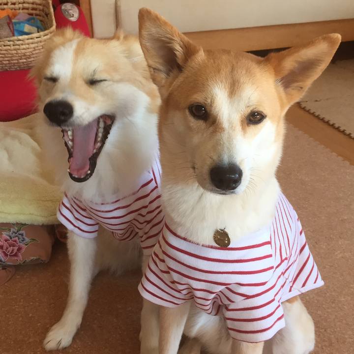 7f4735f6 8e8c 4519 83b3 bc7402380a53