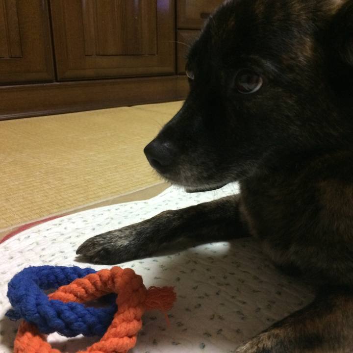 7f475140 15b4 48f7 add0 1e9d856a506d