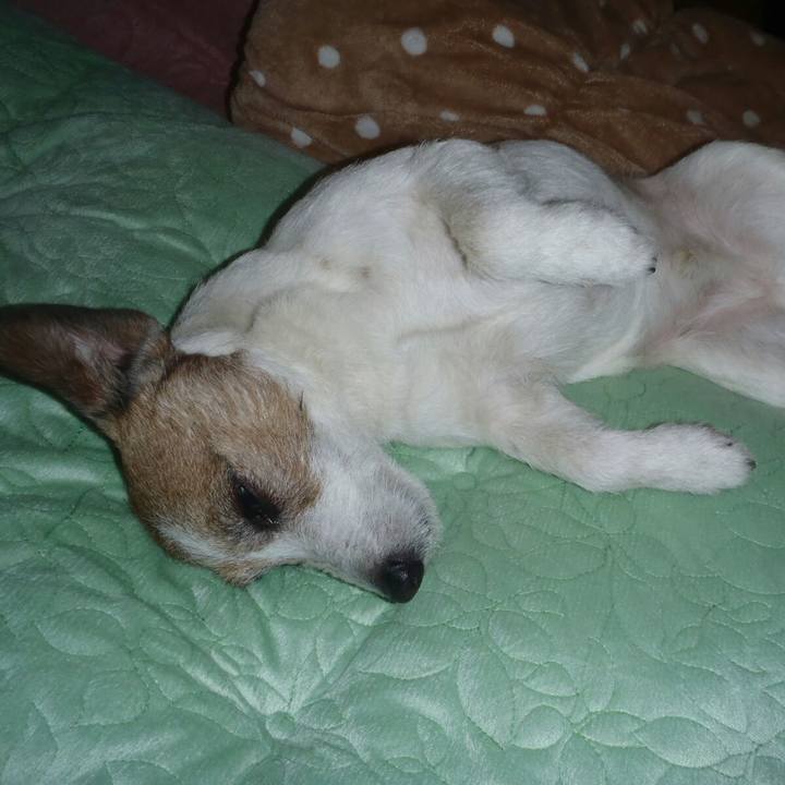 7f477bce 82d3 42dc adfa 19ee92f6f8db