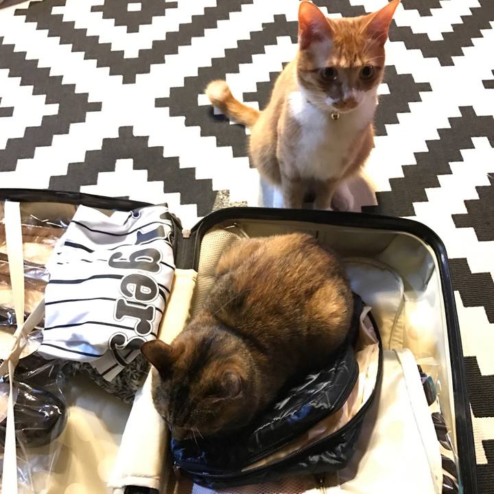 7f4816f0 d1ad 4571 804f ca786cc5a898