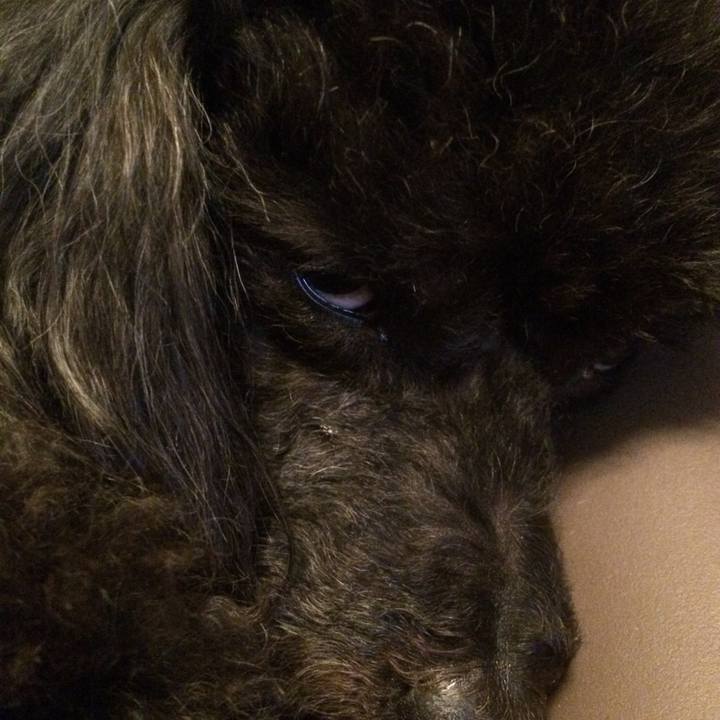 7f486efa a460 441b 9514 a38f640418ea