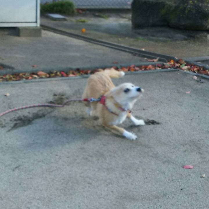 7f4882fd 8639 4fca b28d a53a140e2bb3