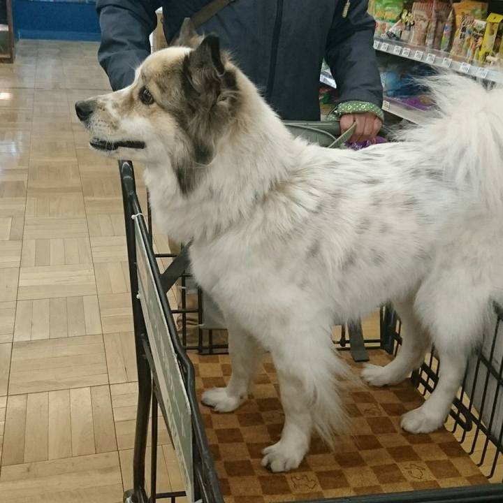 7f488908 50f1 4fb5 b68a 03c4dc4b7aa0