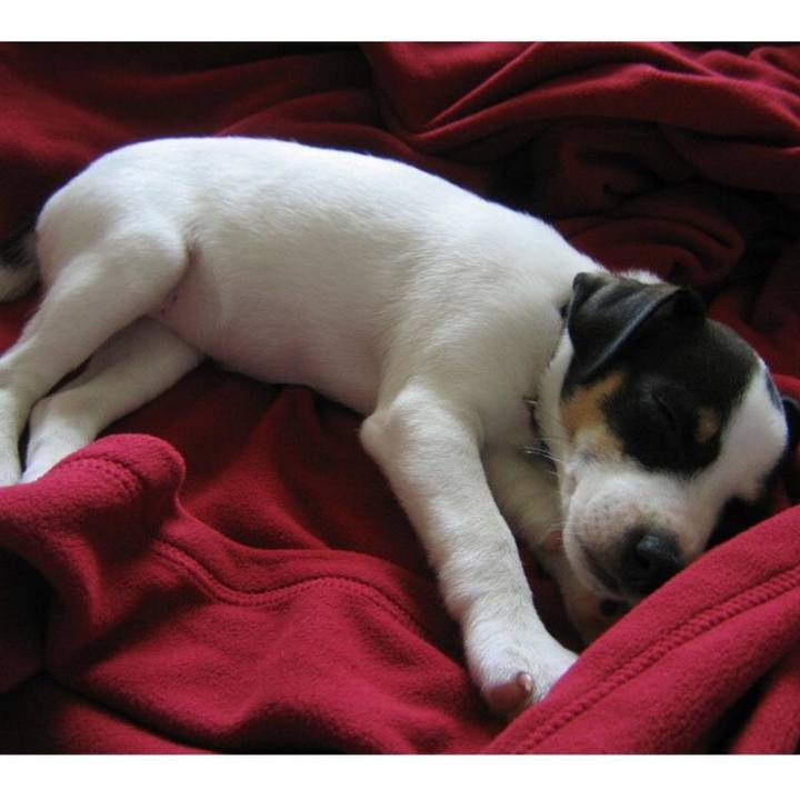 7f48c1cc 799f 49e0 ae34 be28fd2b6364