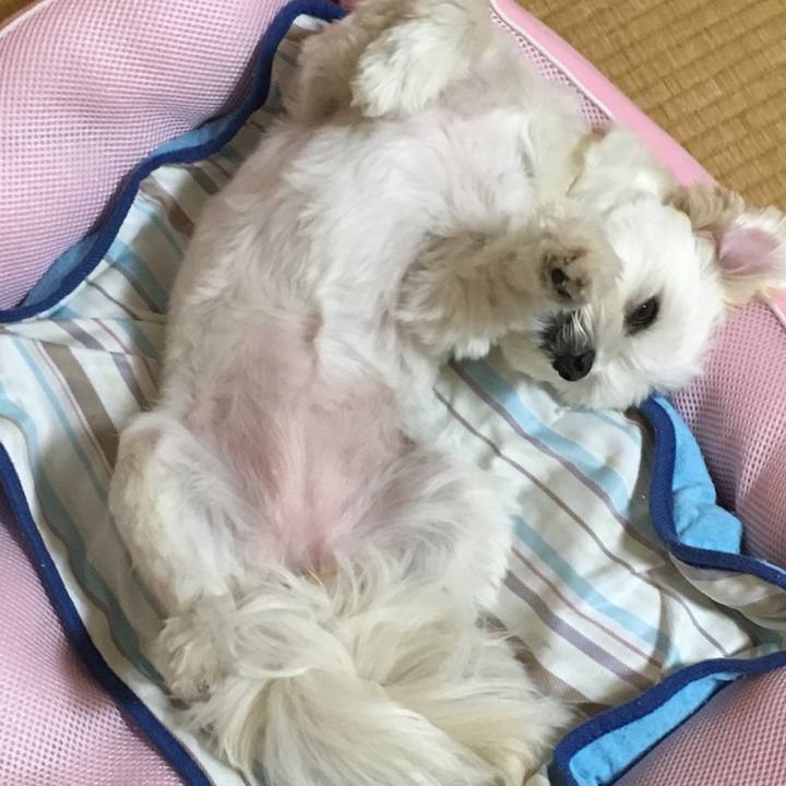 7f4976b2 2042 40f1 9e99 51e183d86c63