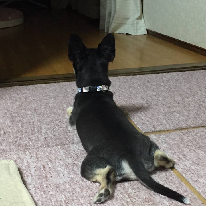 7f497ba9 2336 437c b480 0cdad6381416