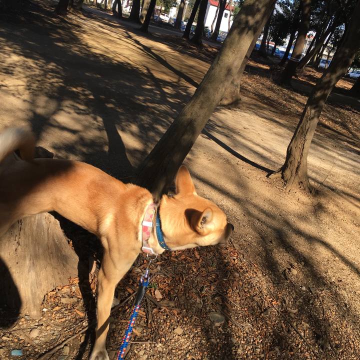 7f49c7ed b394 4011 873d 605c1d85ae7d