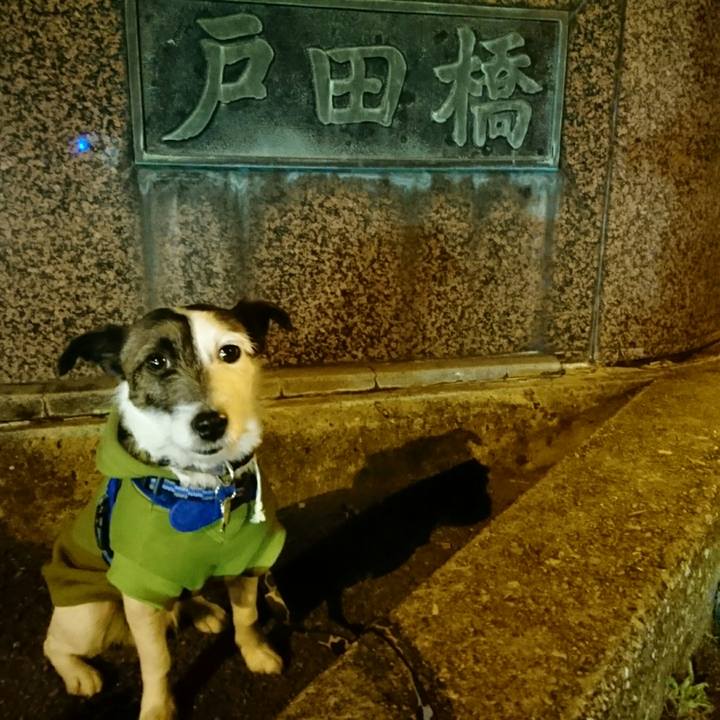 7f4aab31 156c 4a43 b940 9296663fbdb7