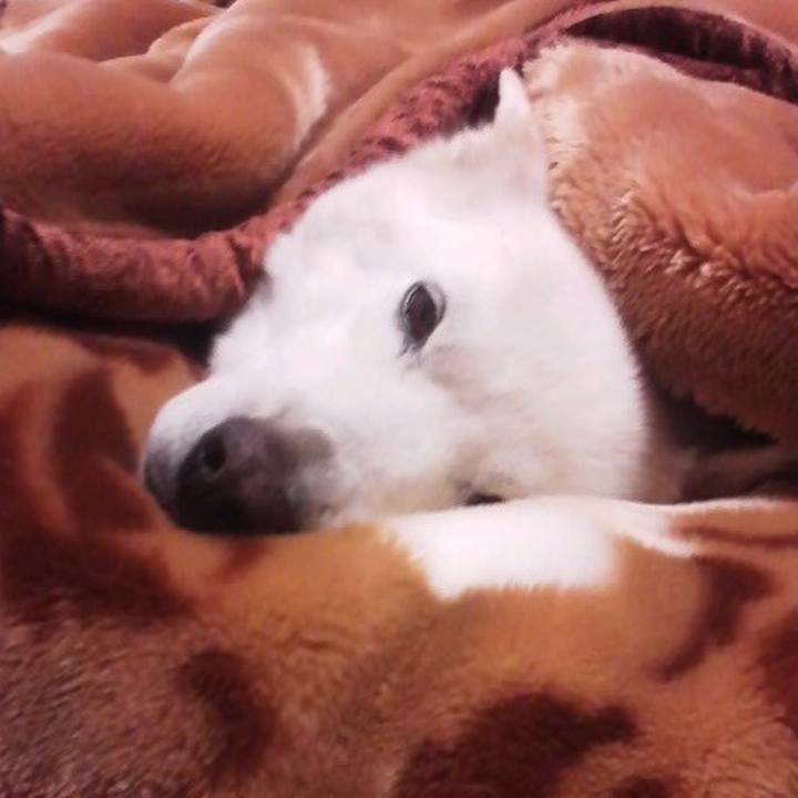 7f4b6882 89d3 4026 ae65 b2985e954e53