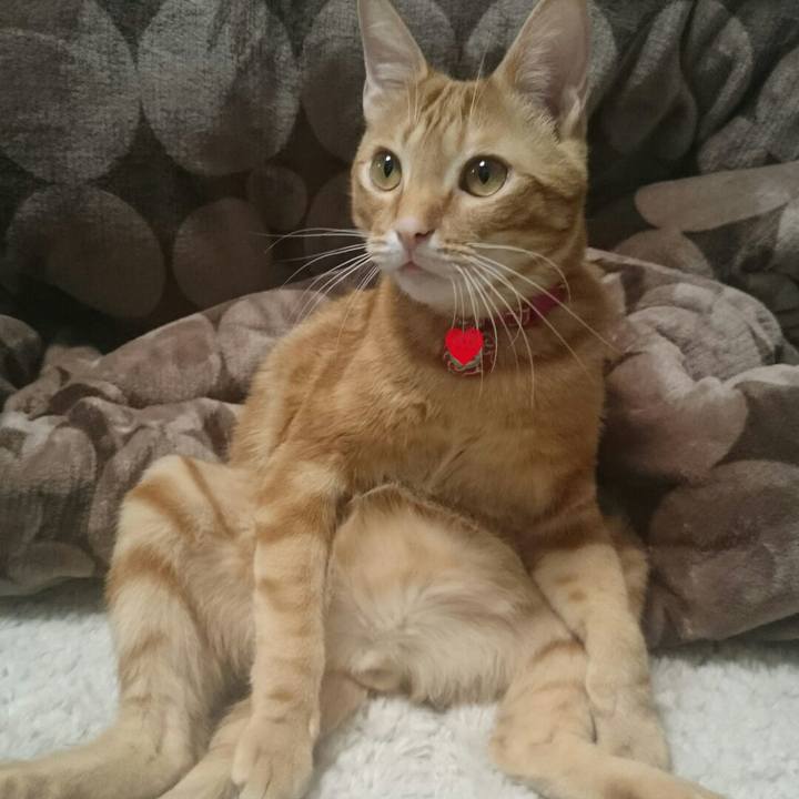 7f4bba0f 999b 4b8c 89de d69748962bd4