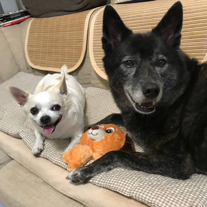 7f4bd363 b28e 49ea 9eaa 1e116e8b819e