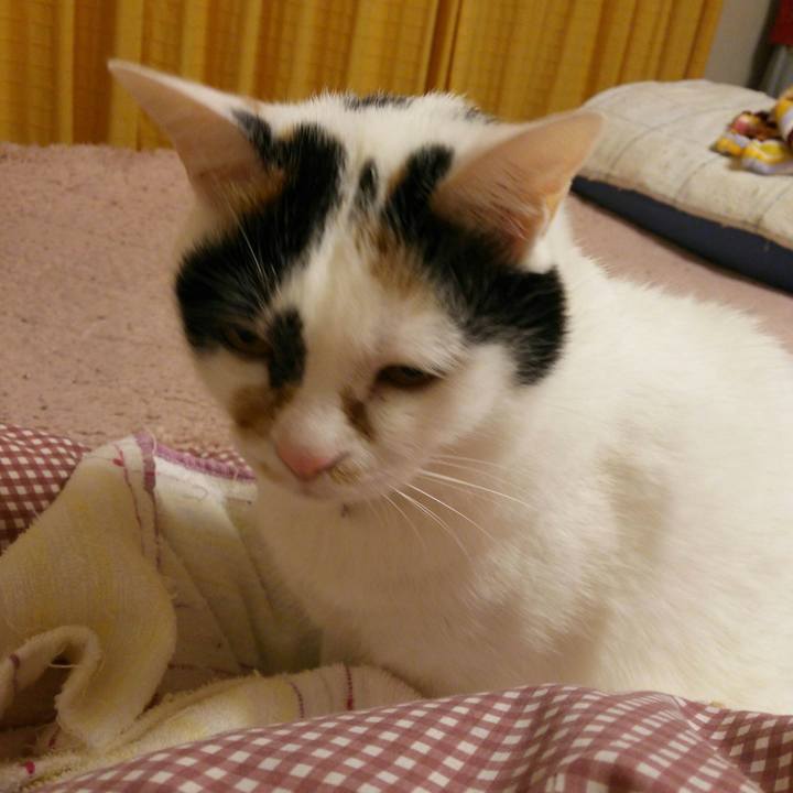 7f4c0840 349a 4b12 a81e 53ac3222ec58