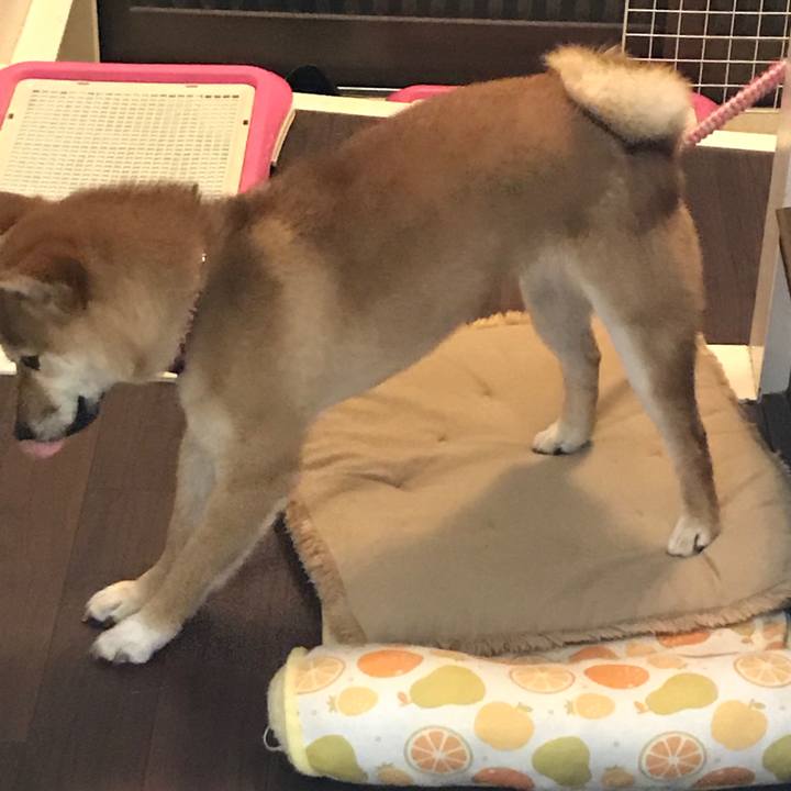 7f4d8648 3a25 4296 92c5 5f1486e62b78