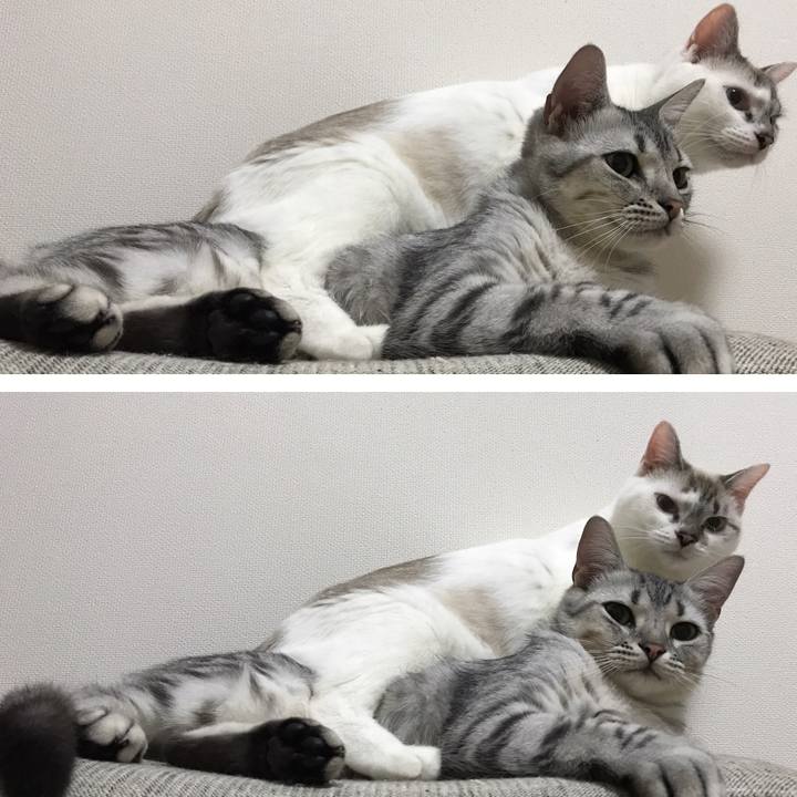 7f4e1d3d 97fd 4736 895e eafb19937581