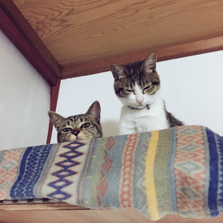 7f4ef1a0 2c61 4fa7 8993 866dfb34ba78