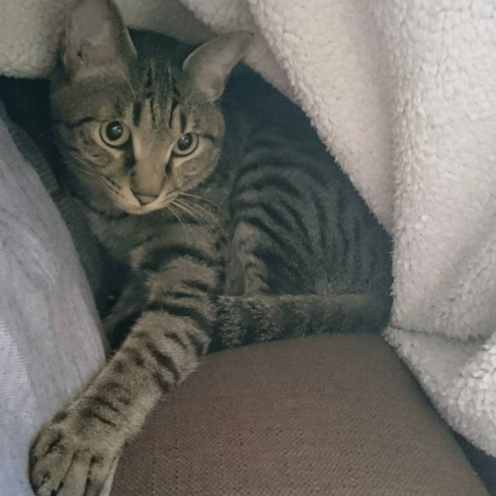 7f4f14aa 24c0 4b57 8864 489edbbd1b16