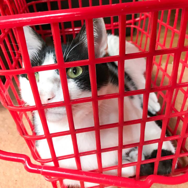 7f4f1c71 6709 47e9 92a3 4b5e8604c648