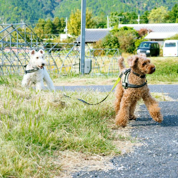 7f4fe214 db22 494e 86da e9b2f9fac84f