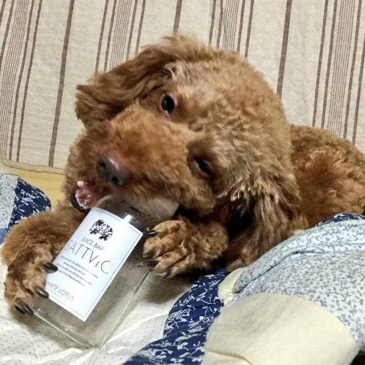 7f50cc93 554b 49df bce8 0ae21dc350bc