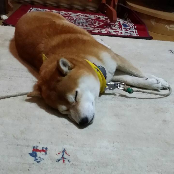 7f51bcc9 f074 4eb3 886b c4adb020edef