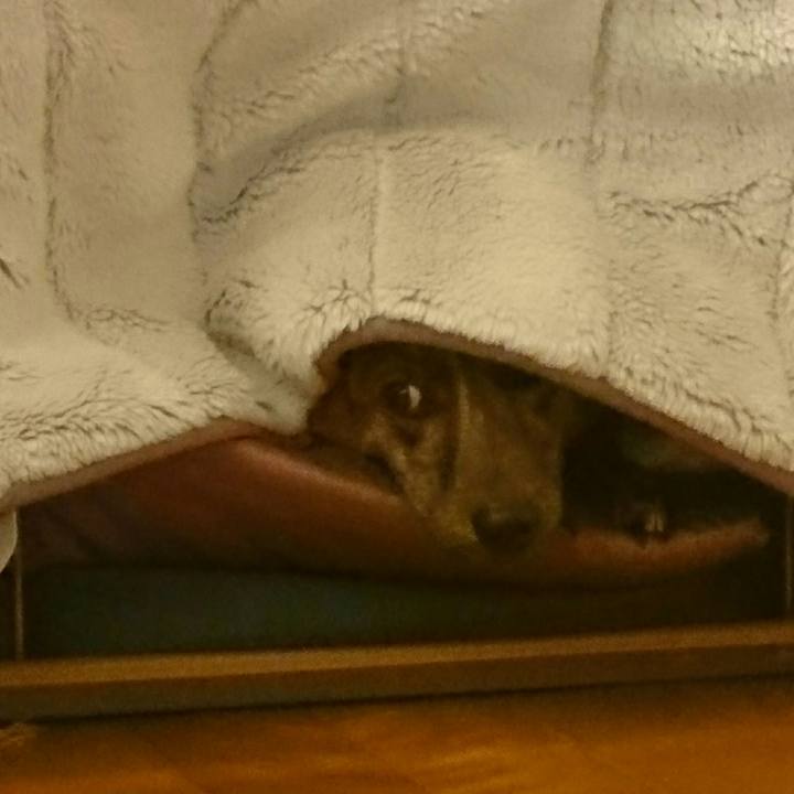 7f51e00c 4a78 4bc4 99fd 7d3a164a5886