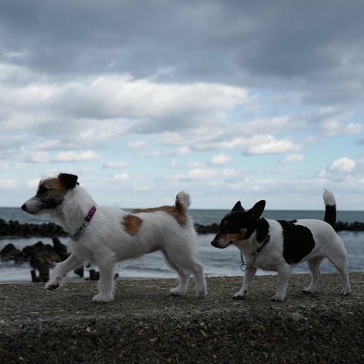 7f51efd3 5292 47c5 9dc1 cd019abc3ef1