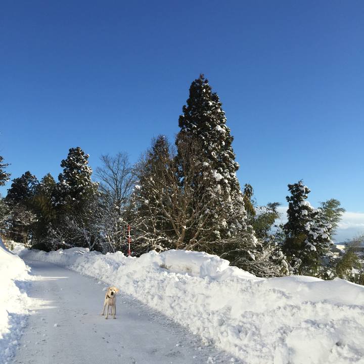 7f52211f 186c 4036 b2db 7aba3da8ad58