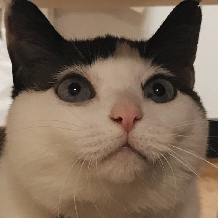 7f52400c c5b6 43b5 9ed4 7c9223d1c7f9