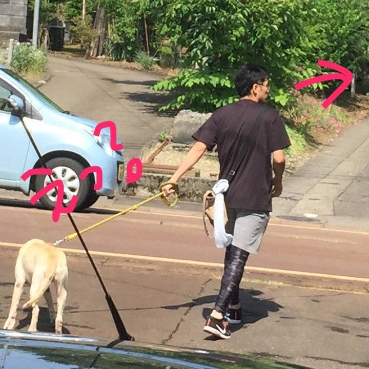 7f5284c4 0e8f 428a 9c2b 1141eba7e6bd