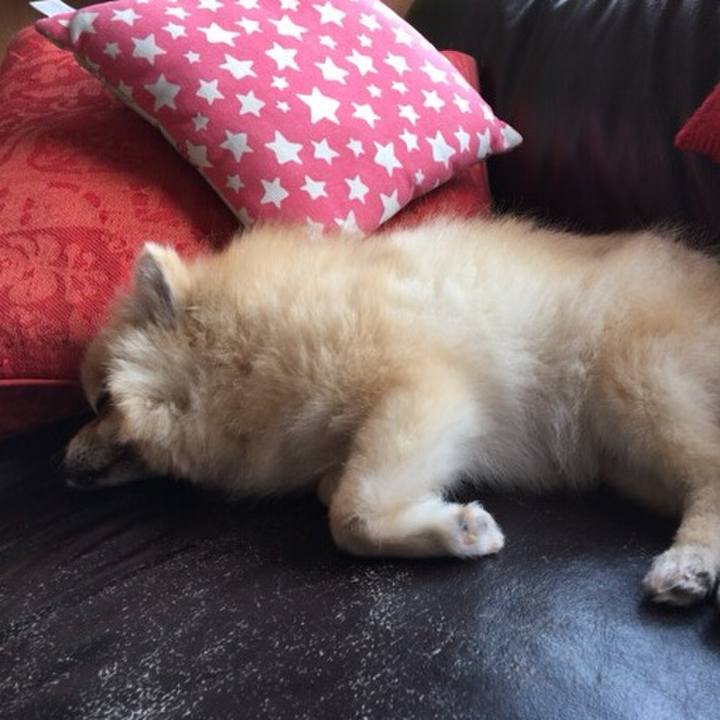 7f52c1ee 316e 42c3 899e 3d1a814e700d