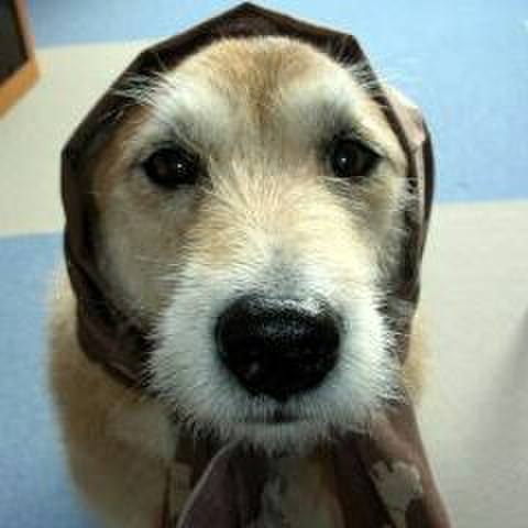 7f53551d a0d3 4b22 a375 733bbe29b078