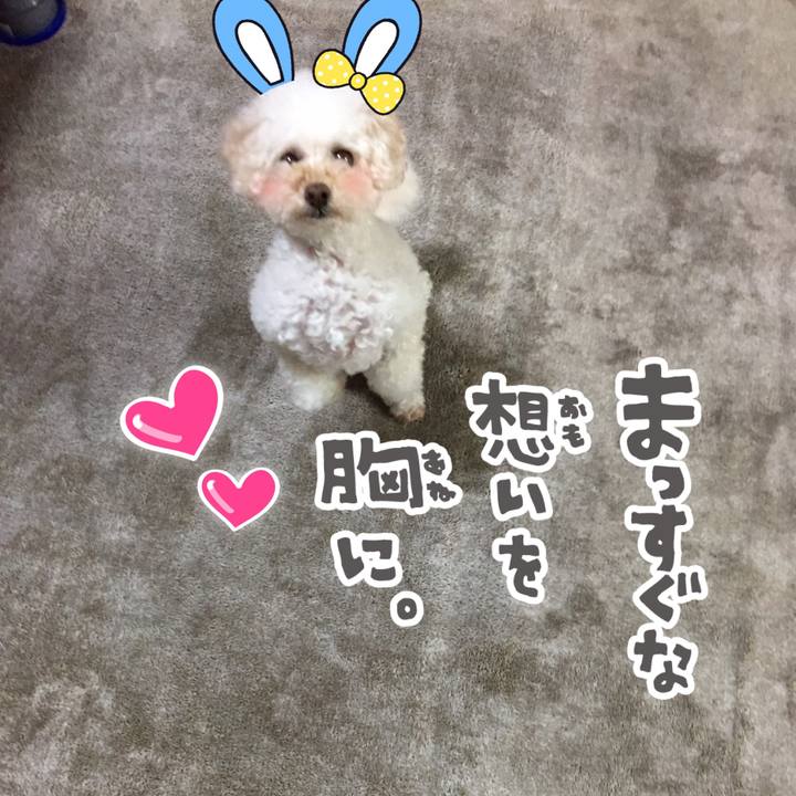 7f536a5f 7010 4790 b1a1 5d3c394dc0a3