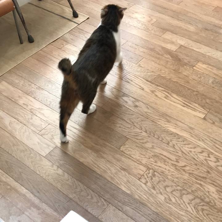 7f538ac7 c6cd 4092 8a28 6fb479275d64