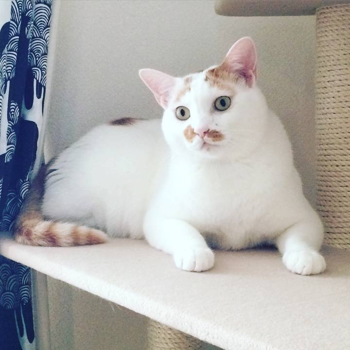 7f542214 635f 41ef a308 f15d5032c7ee