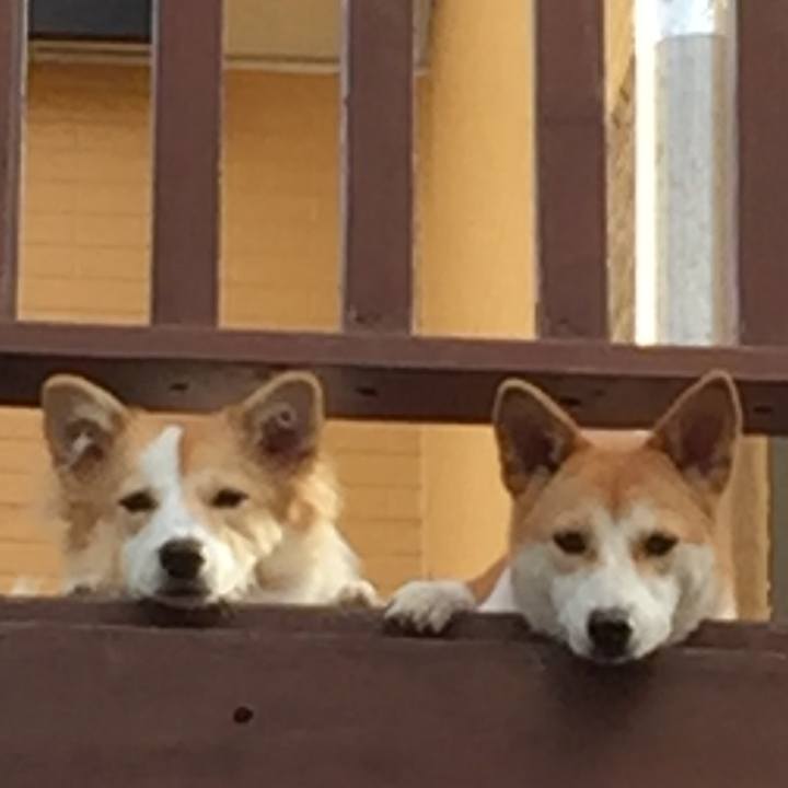 7f54233d dfe1 4b5d a3d6 26e05cb11da4