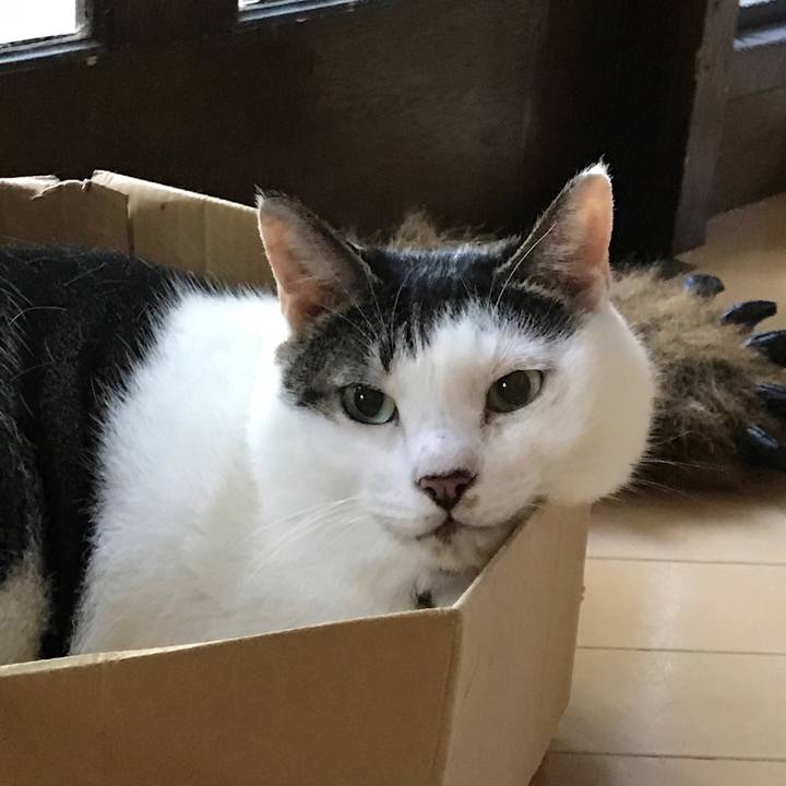 7f545804 4da8 4516 802c ecc0f62551db