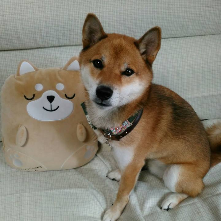 7f54746a a760 4707 88ee f3a27dfeedeb