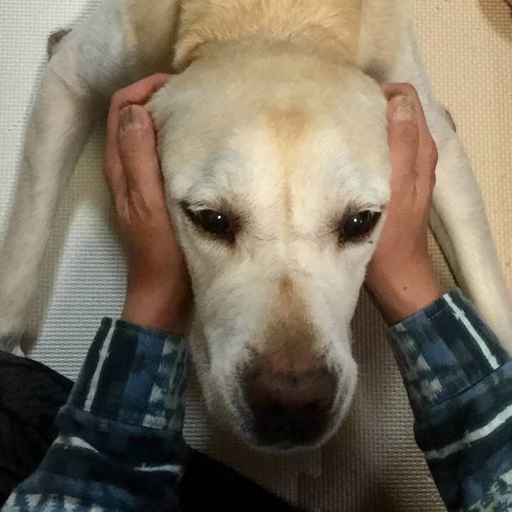 7f5482ec 89ff 4907 961a fcebb8ad5946