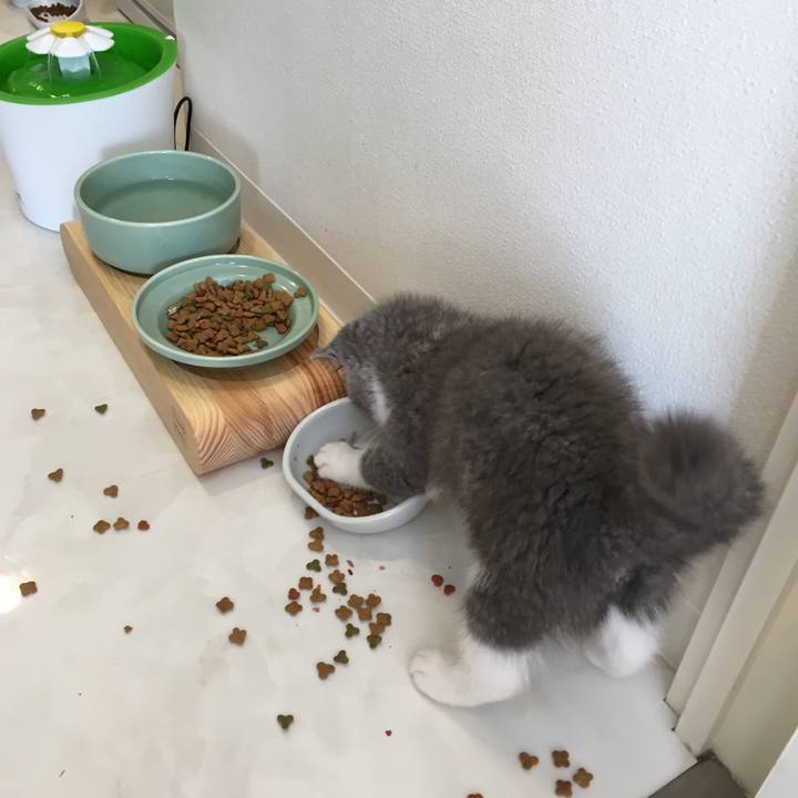 7f54dcba bb74 4daa b197 6bc257417a43