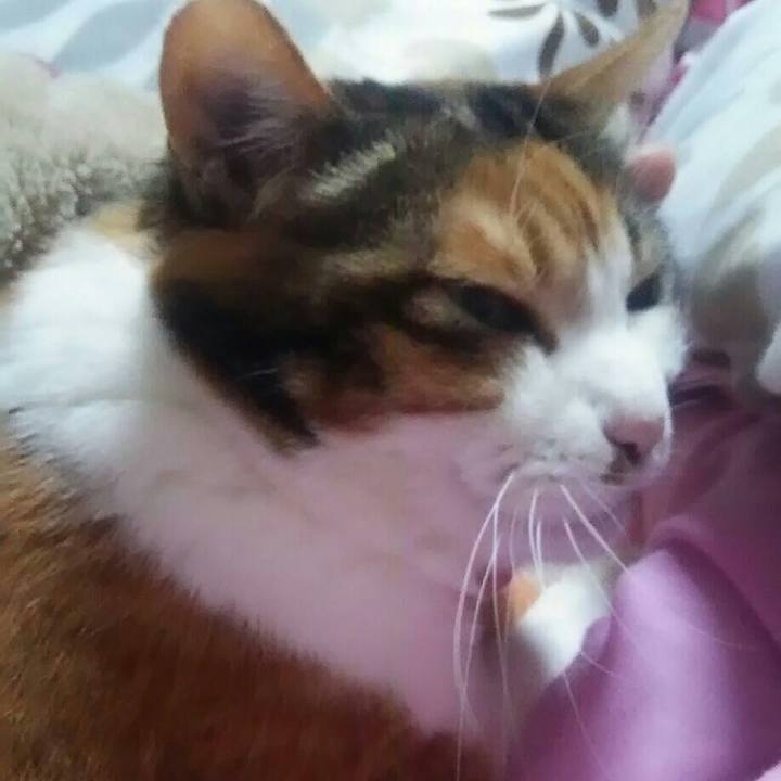 7f557ac2 7a24 47c3 805a ae08b1be15a3