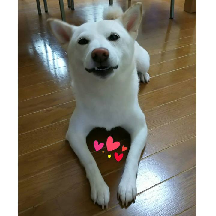 7f55c021 f862 448c 8ab1 388959295af3