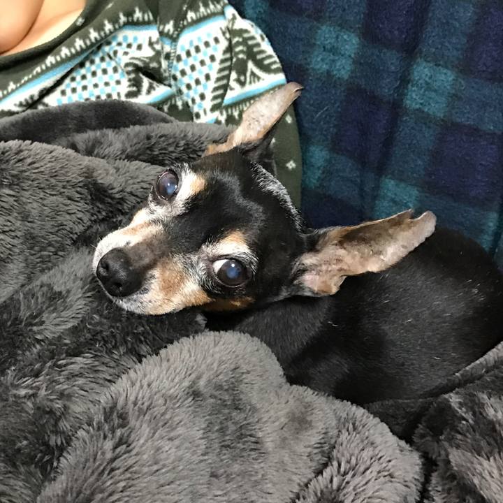 7f55e99b 1a5e 4411 9615 8a0433bb9491