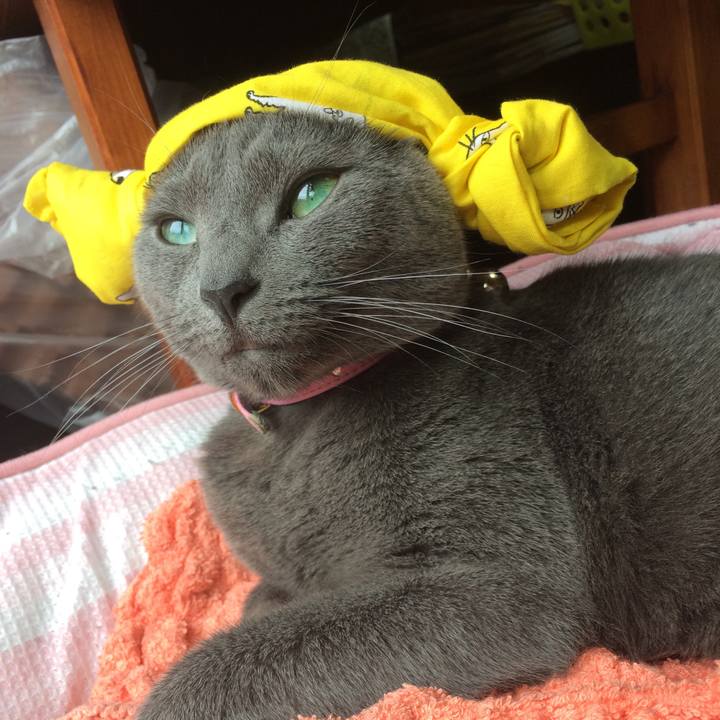 7f561094 b83d 45ca b9d2 7d0860c2ee25